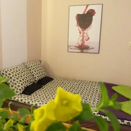 Lama Habitación en casa particular *
